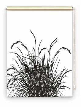 Rollo Reed24 black  - Sichtschutz Extartiqe